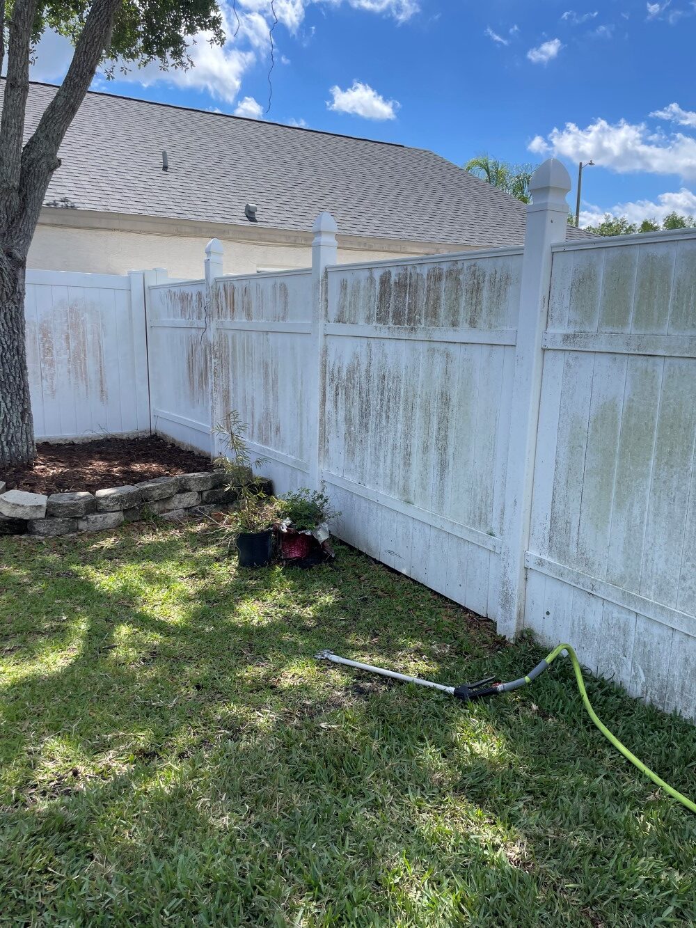 šæ Retaining Wall & Backyard Cleaning in Calusa Trace, Lutz, FL | After Sod Install from William Nursery