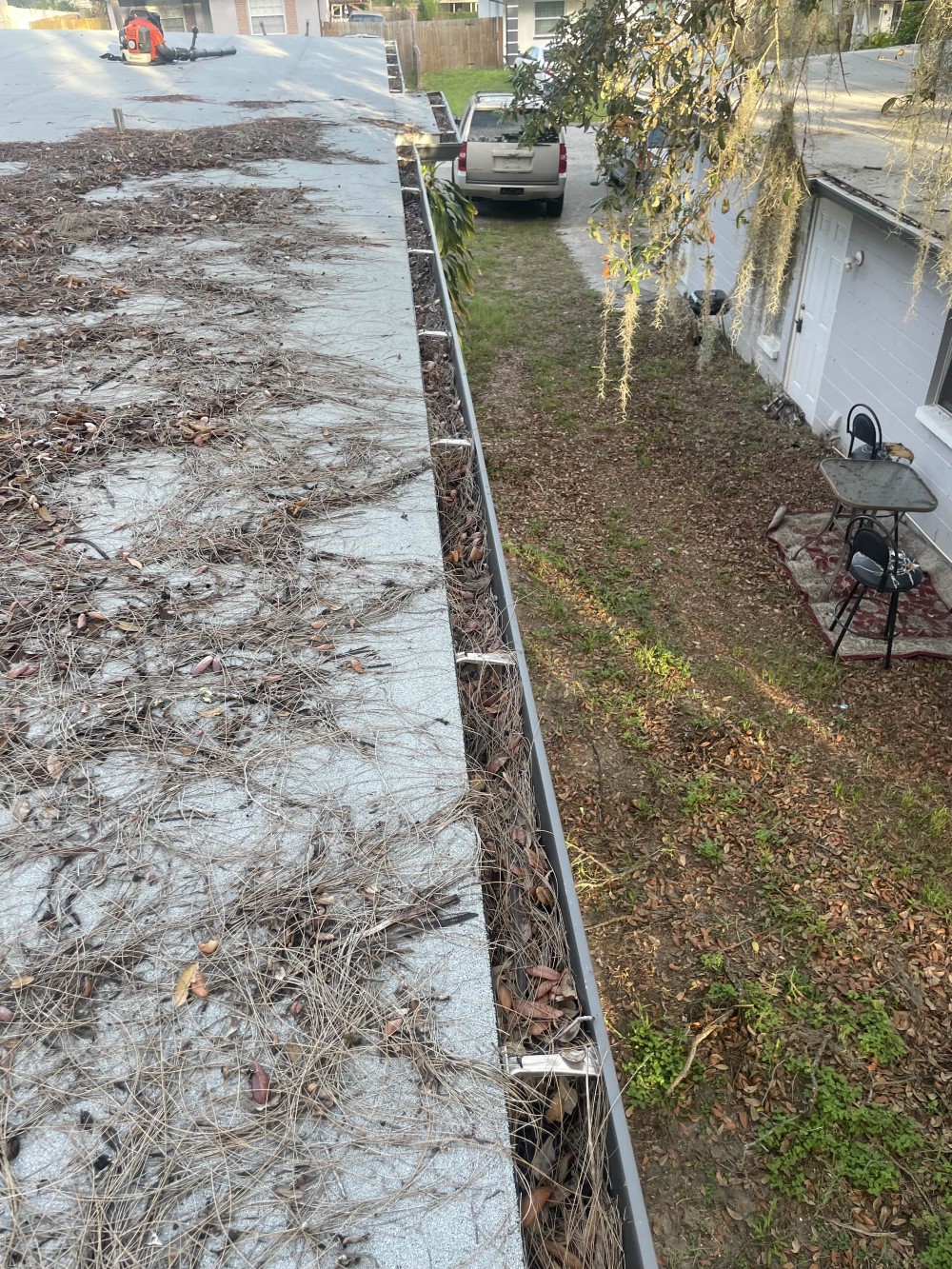 Gutter Cleaning and Roof Blow-Off in Tampa, FL