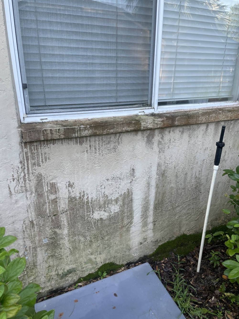House Washing in Hunters Green, Tampa, FL – Restoring Curb Appeal and Protecting Your Home