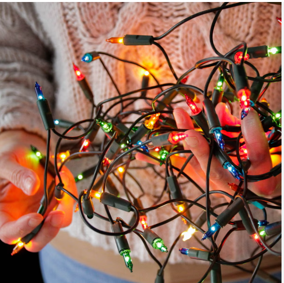 Christmas Light Installation Tampa FL